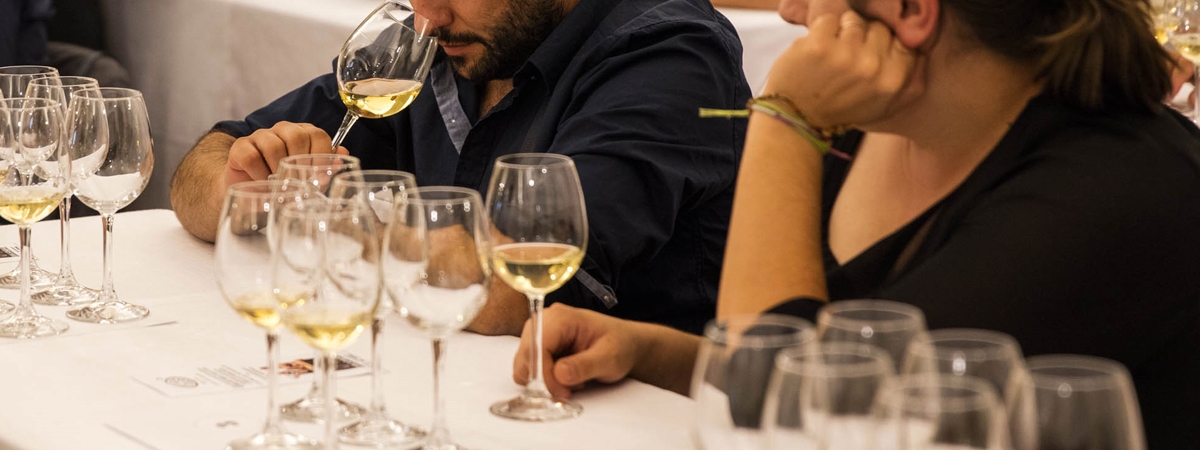 I Bianchi della Provincia di Salerno